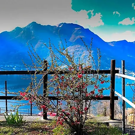 Ca' Del Fico * Pognana Lario