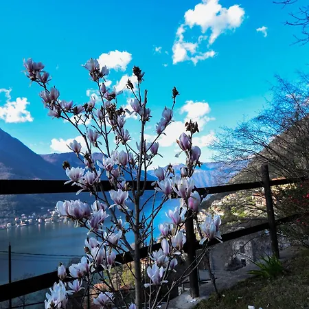 Ca' Del Fico * Pognana Lario