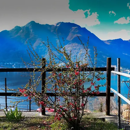 Ca' Del Fico アパート Pognana Lario